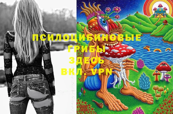 spice Верея