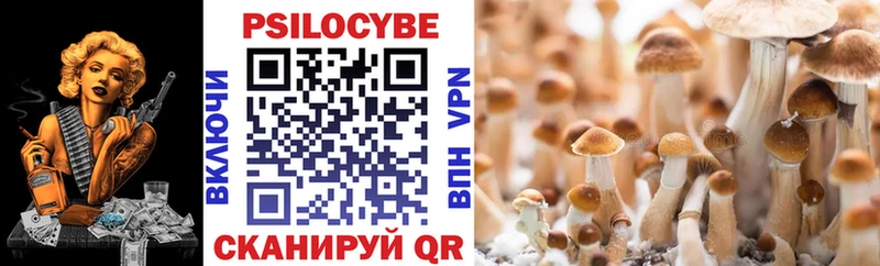 Купить  Южа  Псилоцибиновые грибы Cubensis 